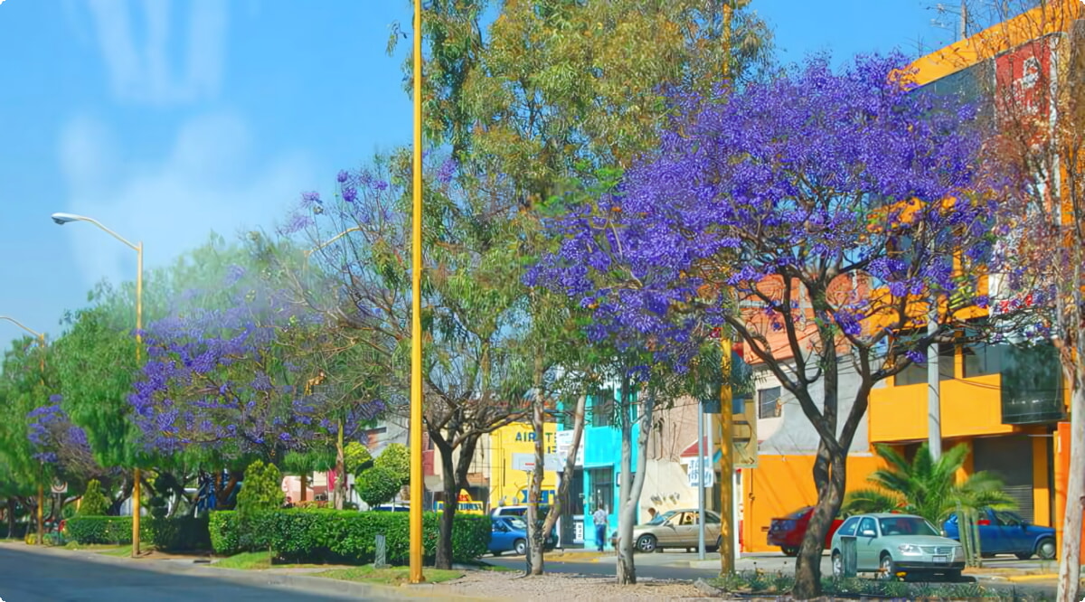 Aguascalientes