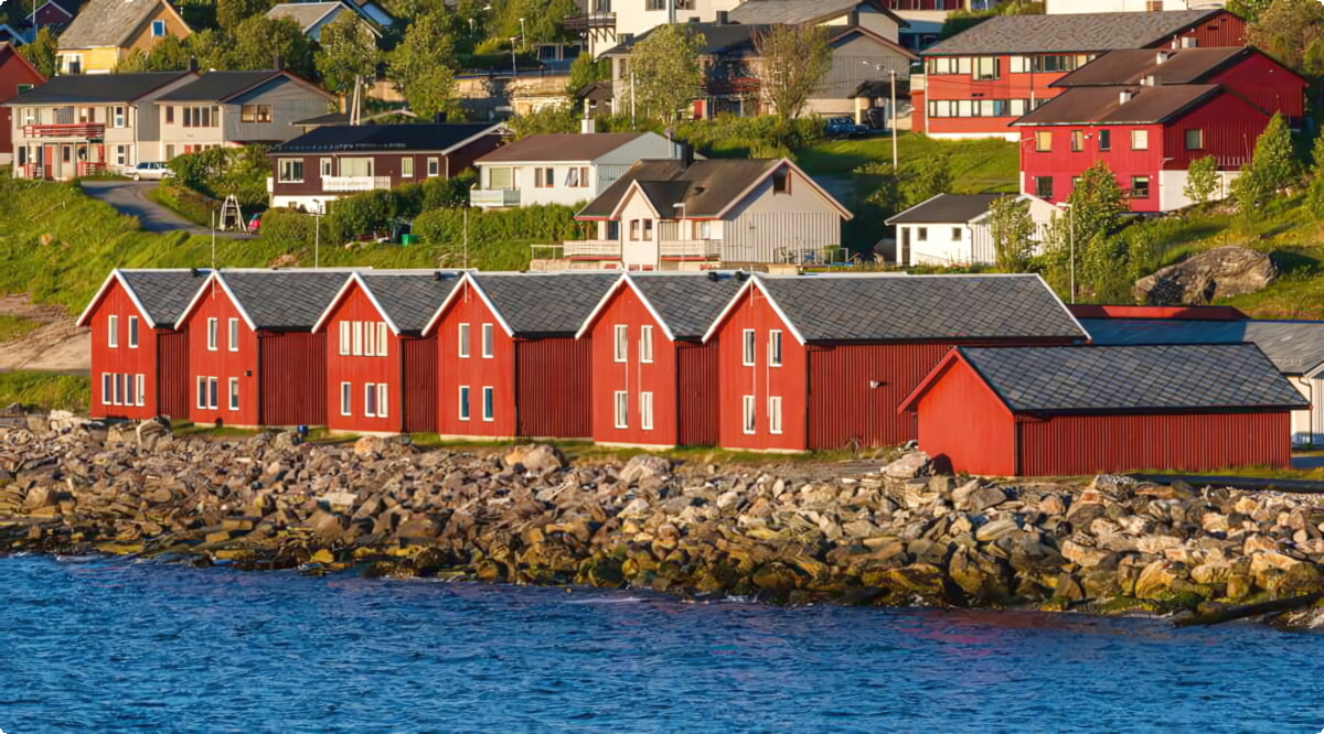 Il nostro inventario include una vasta gamma di veicoli.