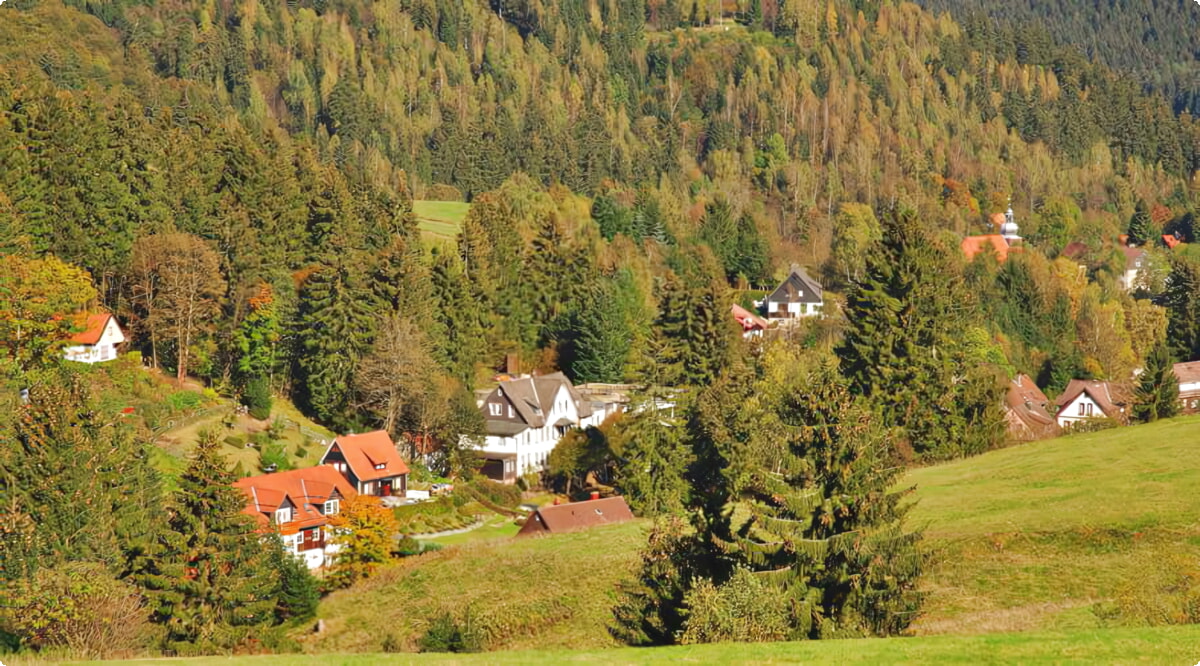 Altenau (Bassa Sassonia)