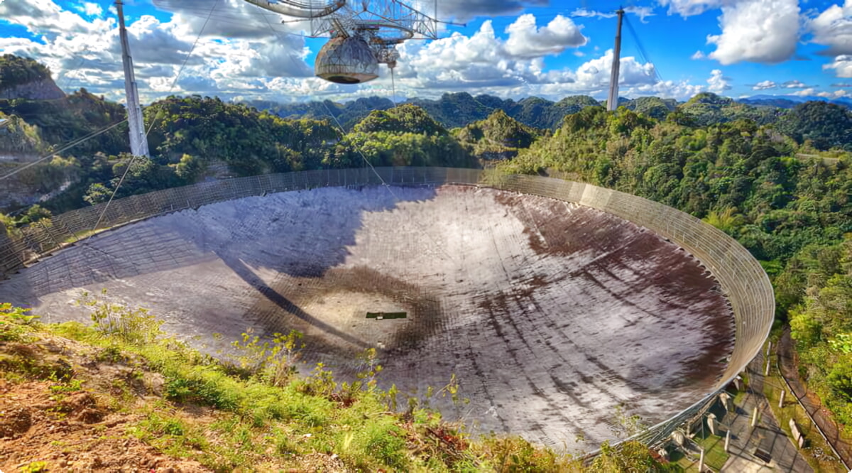 Il nostro inventario include una vasta gamma di veicoli.