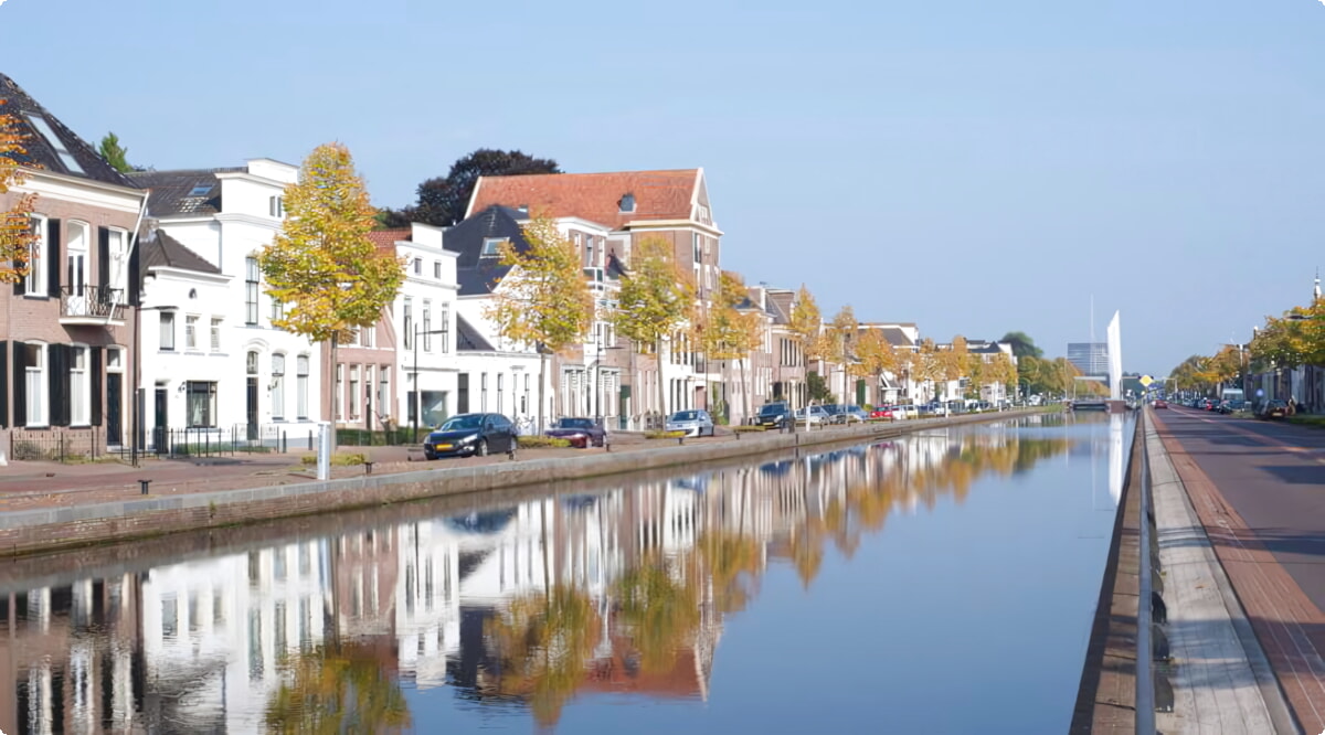 Il nostro inventario include una vasta gamma di veicoli.