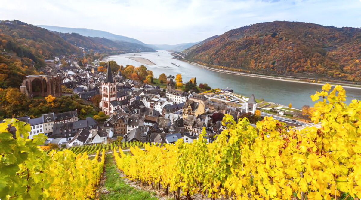 Bacharach