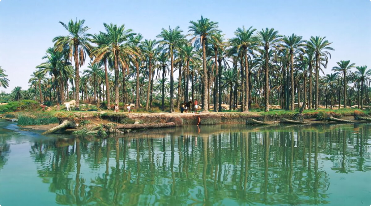 Bassora