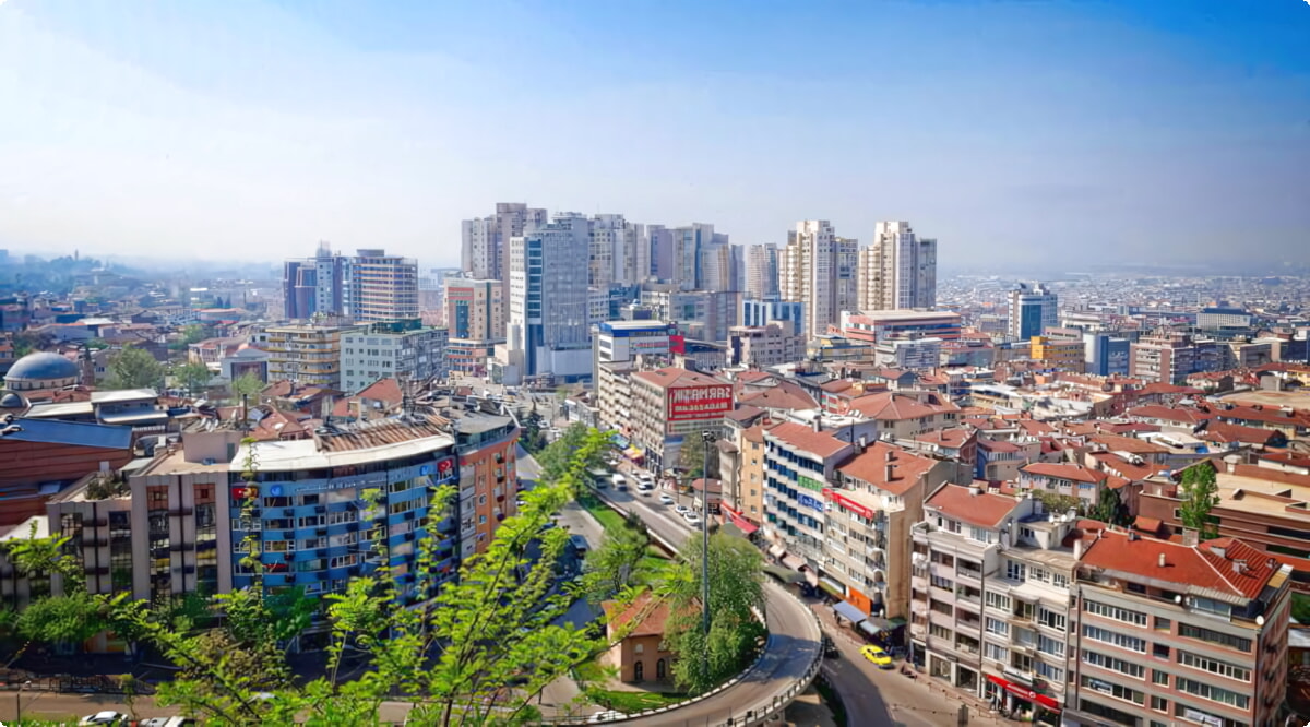Bursa