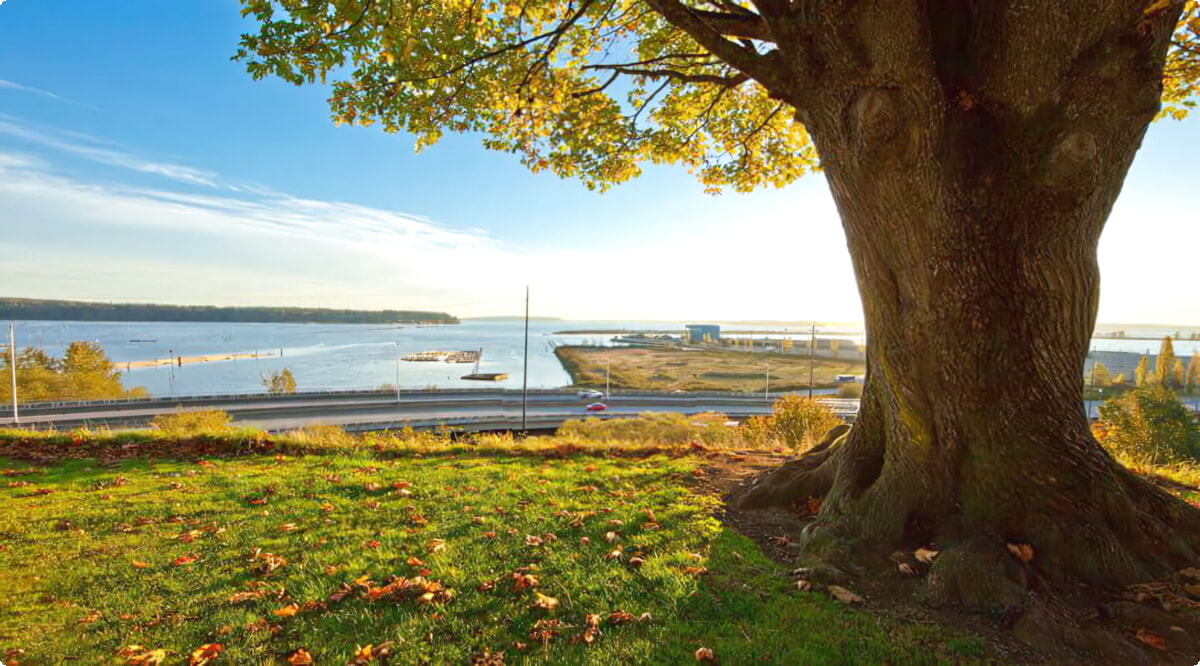 Everett