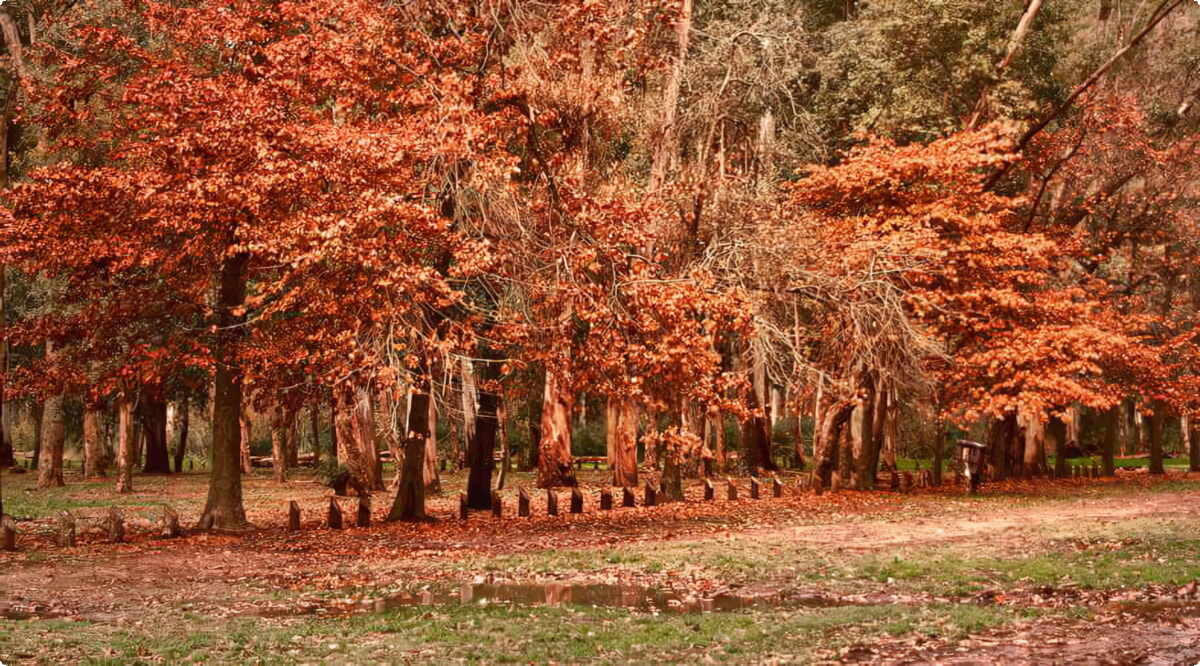 Ezeiza