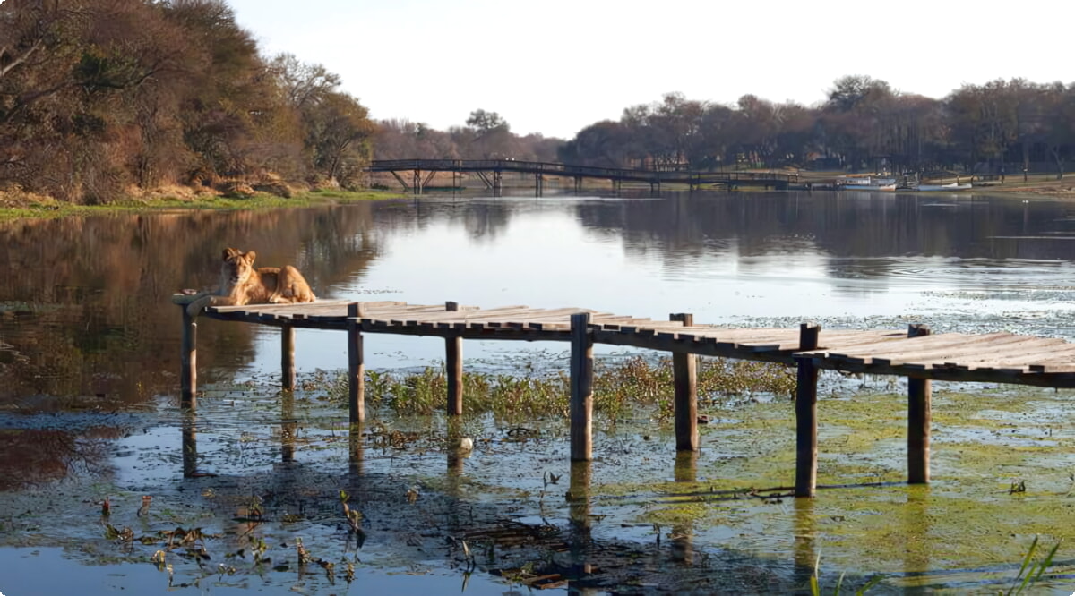 Gweru