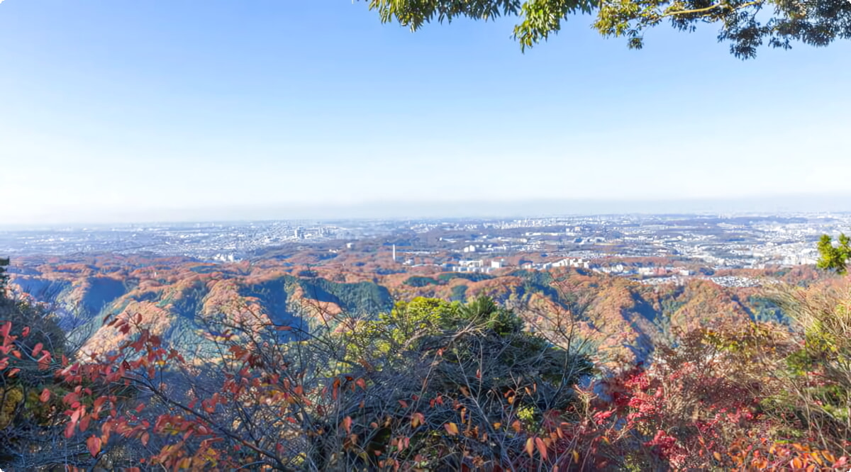 Hachioji