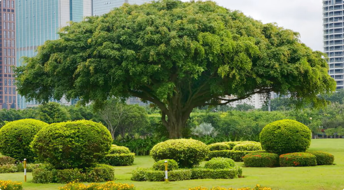Haikou