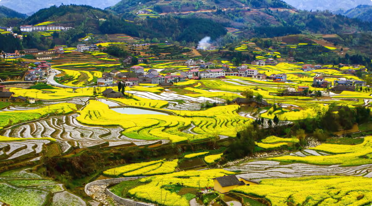 Hanzhong