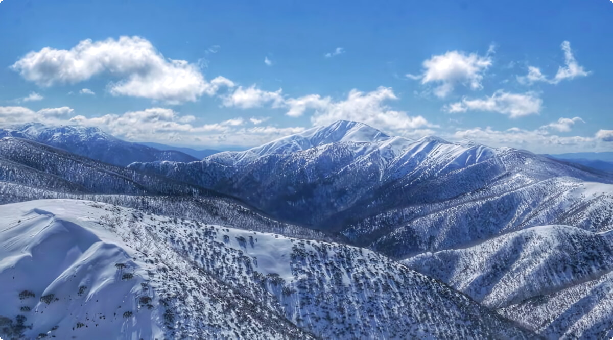 Hotham Heights