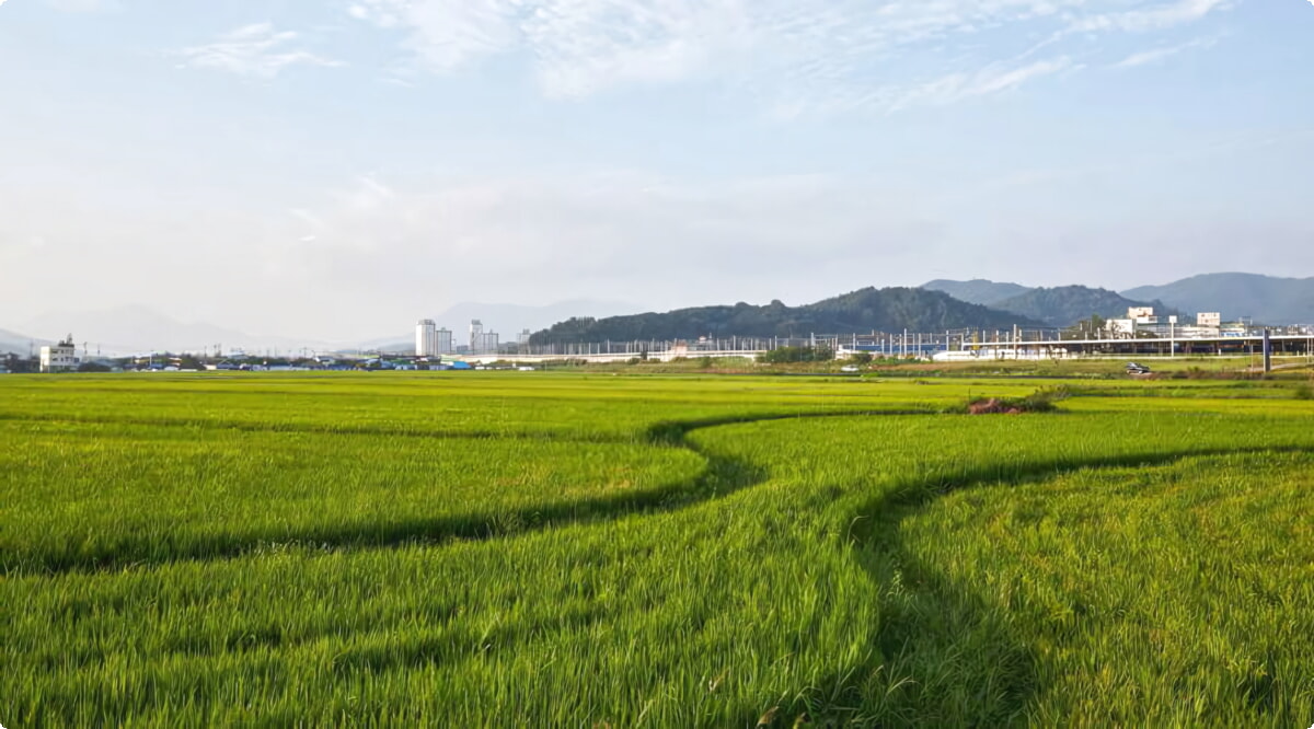 Jeongeup