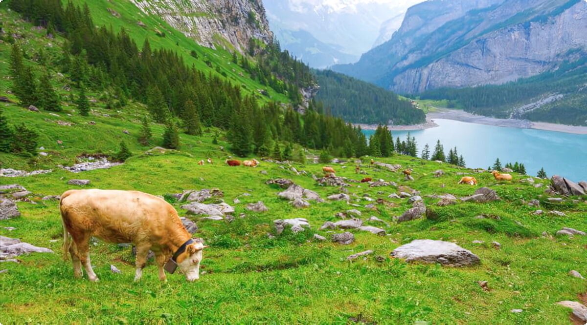 Kandersteg