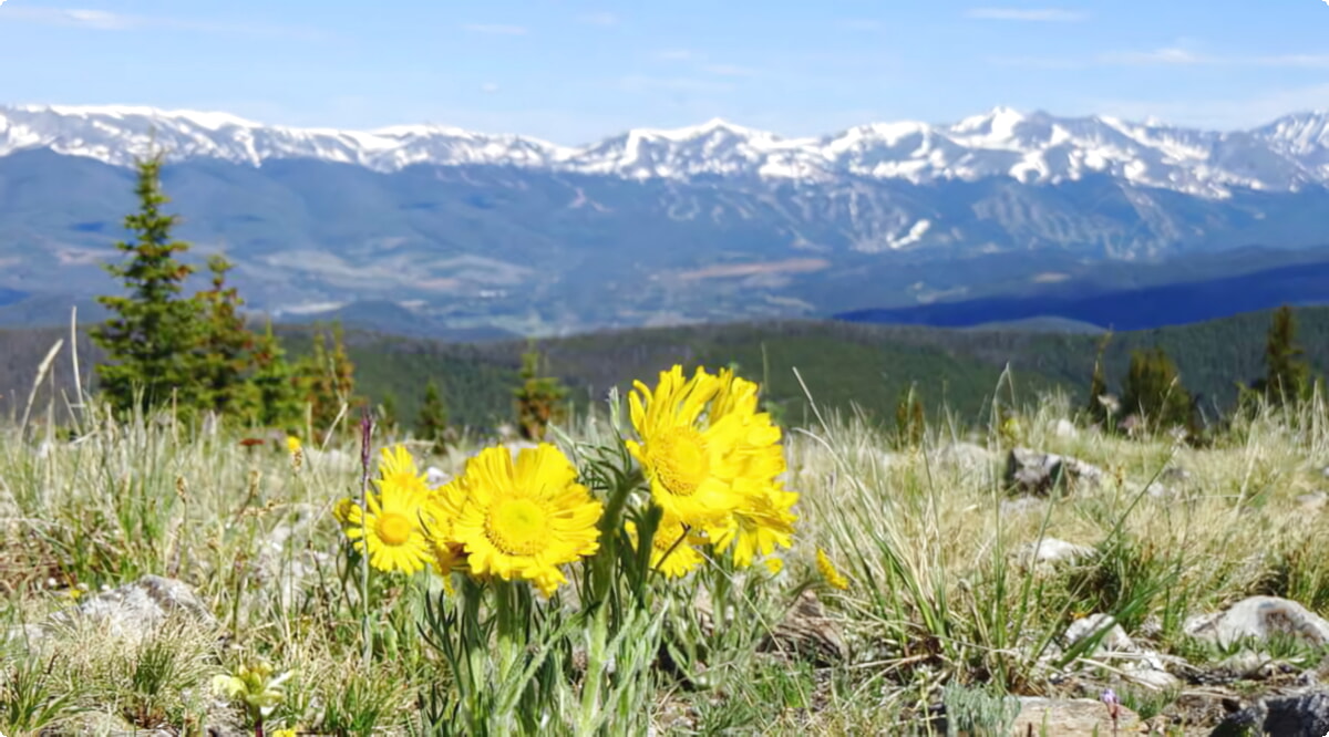 Keystone