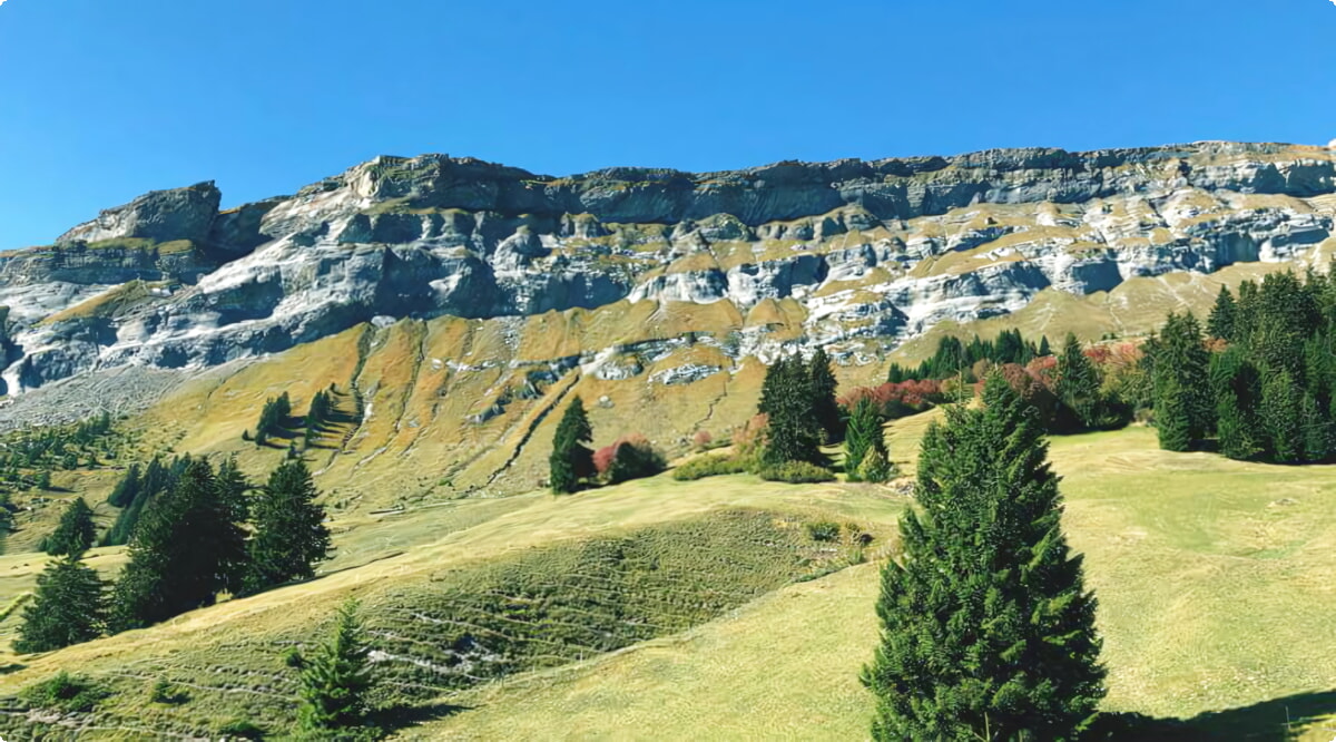 Laax