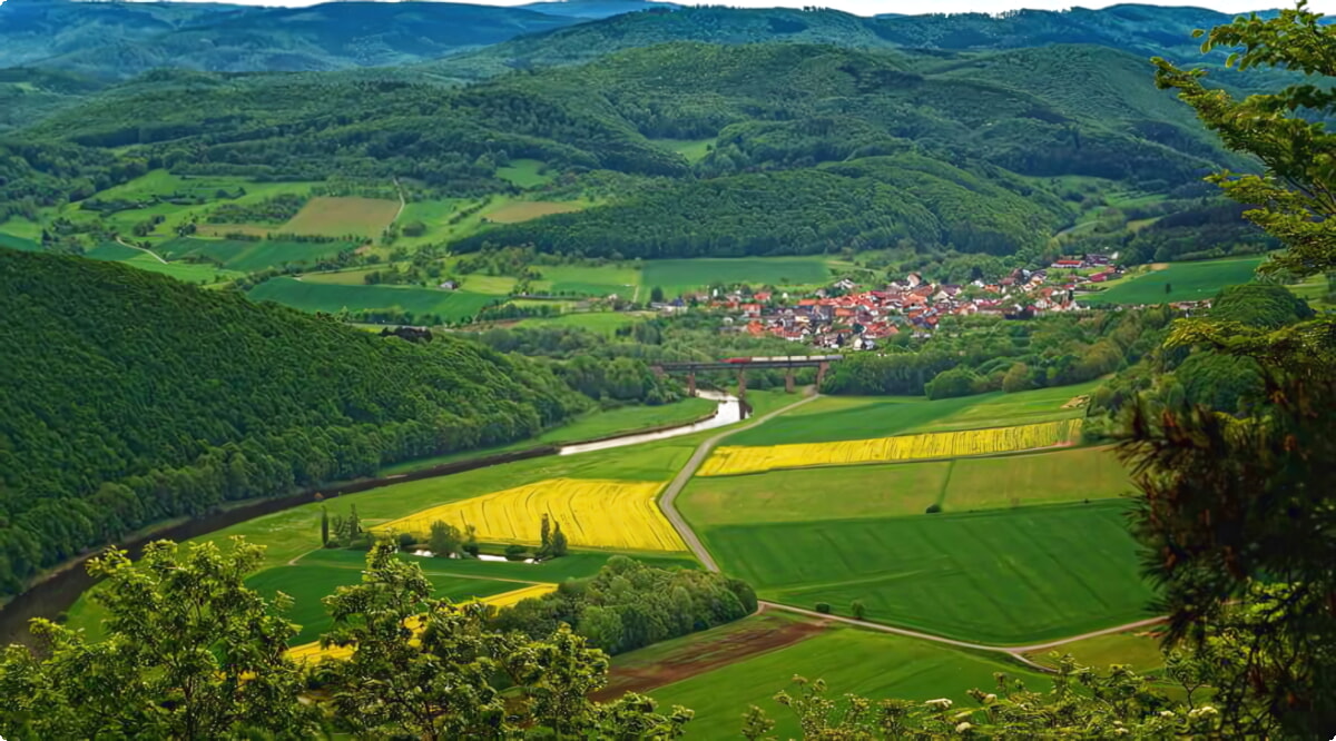 Lindewerra