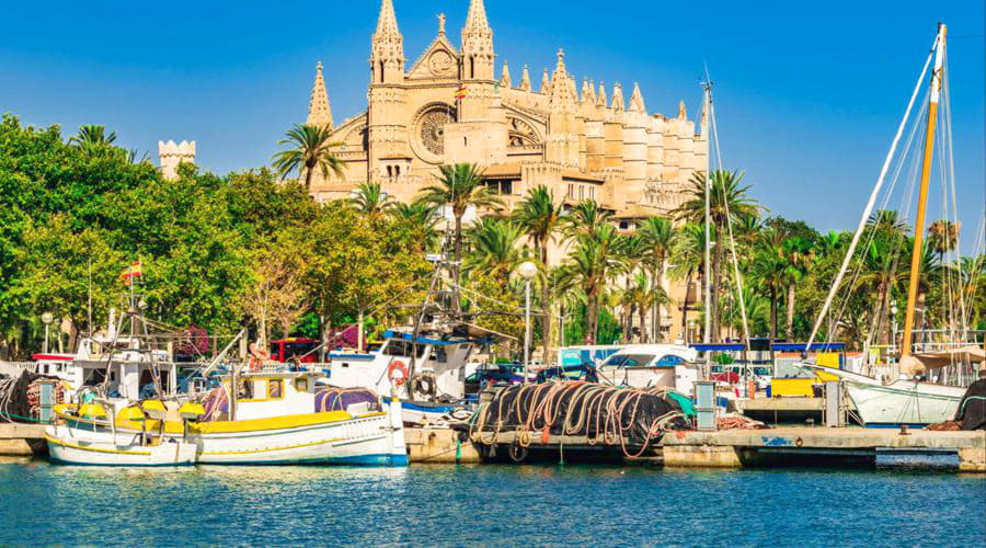 Palma di Maiorca