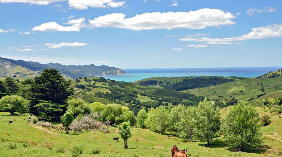 Baia di Tokomaru